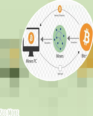 Bitcoin see transactions