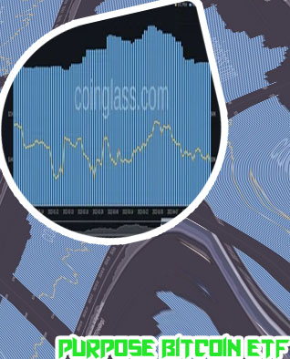 Purpose etf bitcoin